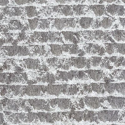 외부 집 클래딩